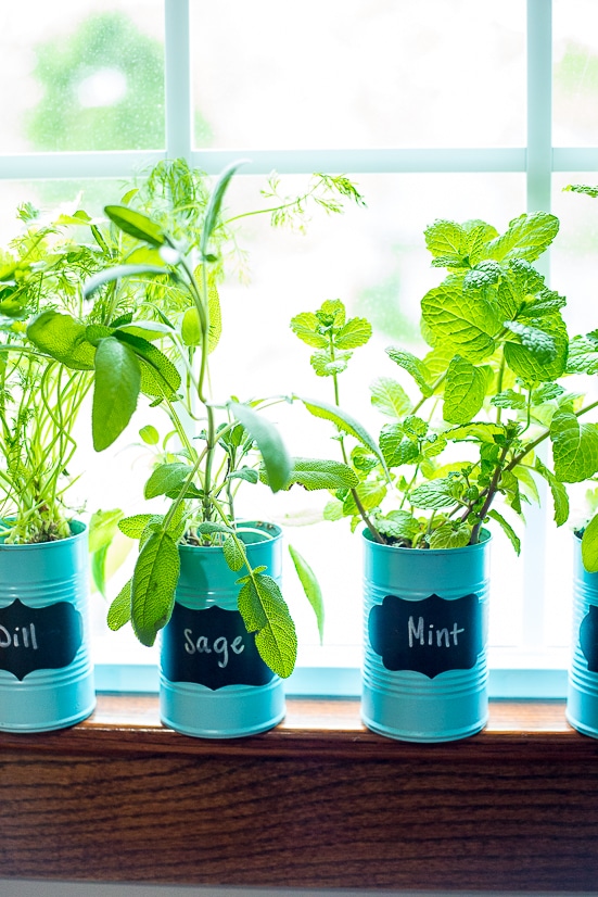How To Make An Indoor Window Sill Herb Garden The Gracious
